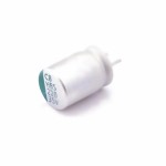 Lelon HBS221M1VCC-0812