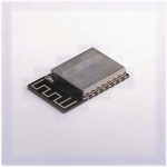 Wireless-tag WT8266-S6 ESP-12S