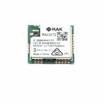 RAKwireless RAK3172-9-SM-NI