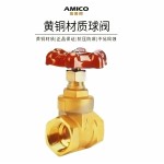 AMICO Z15W-16T-DN20