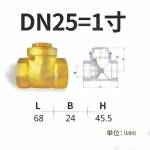 AMICO H14W/X-16T-DN25