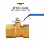 AMICO Q11F-20T-DN15-266