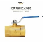 AMICO Q11F-40T-DN25