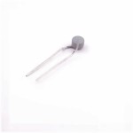 Vishay Intertech PTCCL05H100SBE