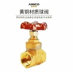 AMICO Z15W-16T-DN40