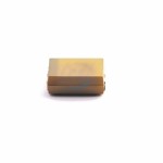 Hunan Xiangyee in S&T CA45-D010M227T